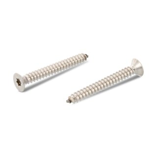 Senkkopf- Blechschraube mit Innensechrundantrieb TX20 4,2X45 mm