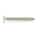Senkkopf- Blechschraube mit Innensechrundantrieb TX20 4,2X45 mm